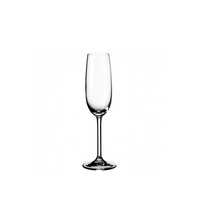 Champagneglazen – krat 36 stuks