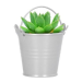 Tafelaankleding - plant afbeelding